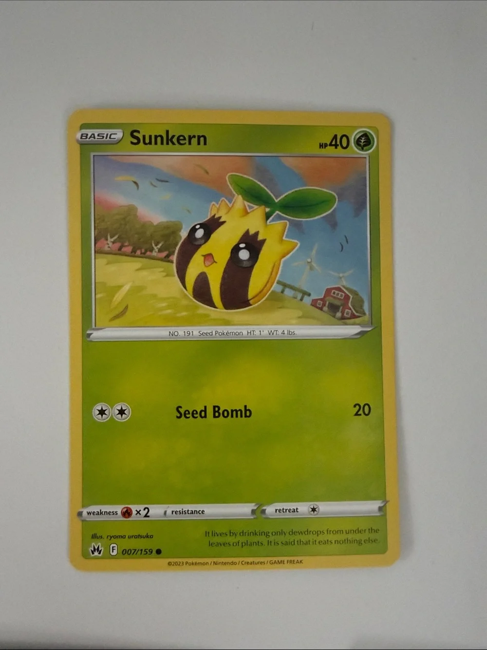 🌿 Forest Pokémon Card Lot | Tropius Maractus Burmy Wormadam Crustle ✨5/$25✨